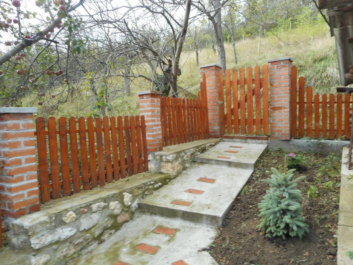Casa Dragoi Din Socolari, Caras - Severin Exterior foto