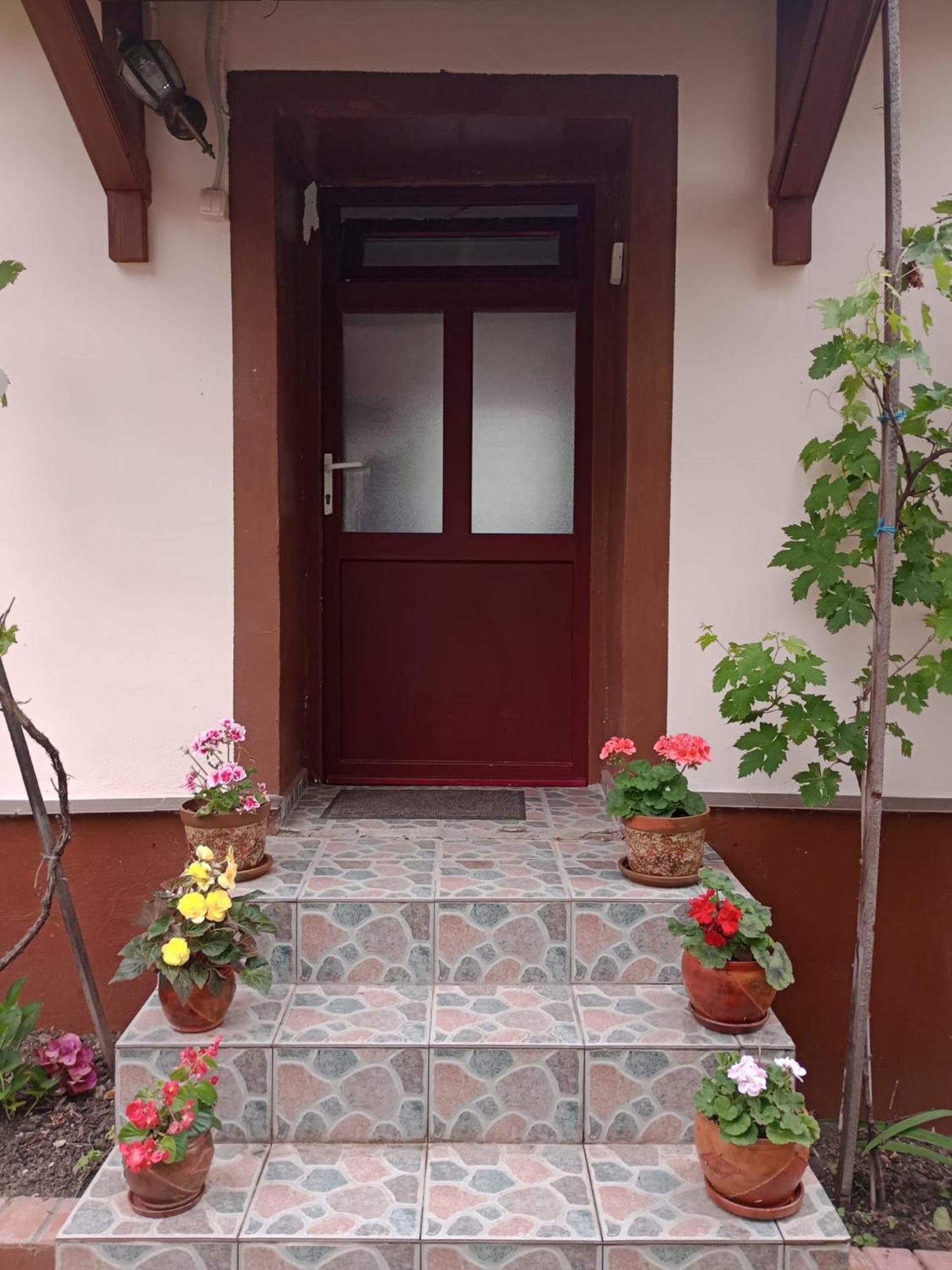 Casa Dragoi Din Socolari, Caras - Severin Exterior foto